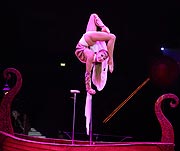 KELLY SAABEL (Italien) fasziniert mit traumhaften Handstand-Künsten vom Feinsten (Foto: Martin Schmitz)